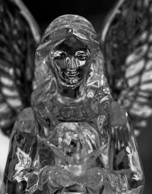 Ice Angel by Stino