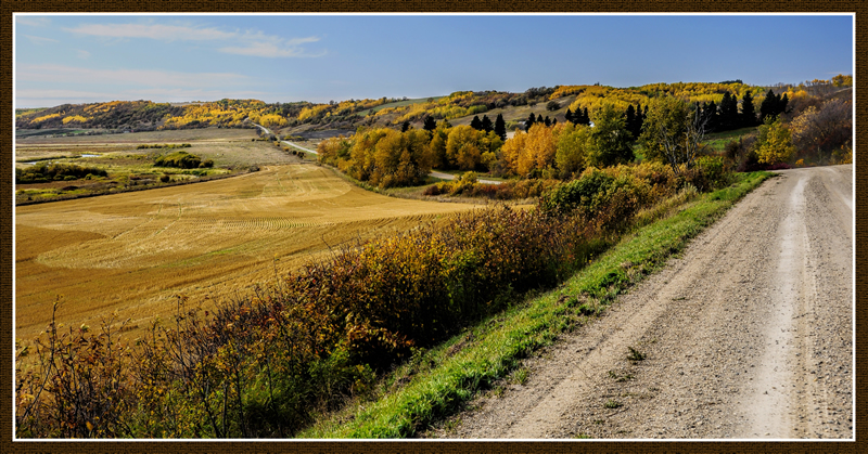Autumn Drive by Pat