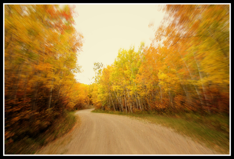 Fall Fix by Nancy