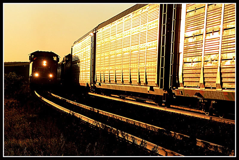 Trudy Curtis - Night Train