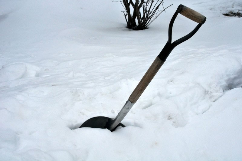 Snow by Don Dilley