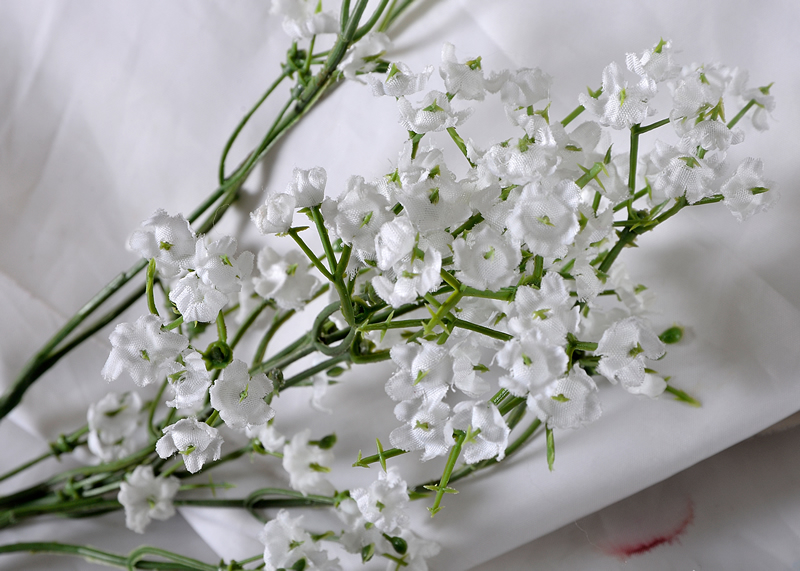 Tiny White Flowers by Jim Atkinson
